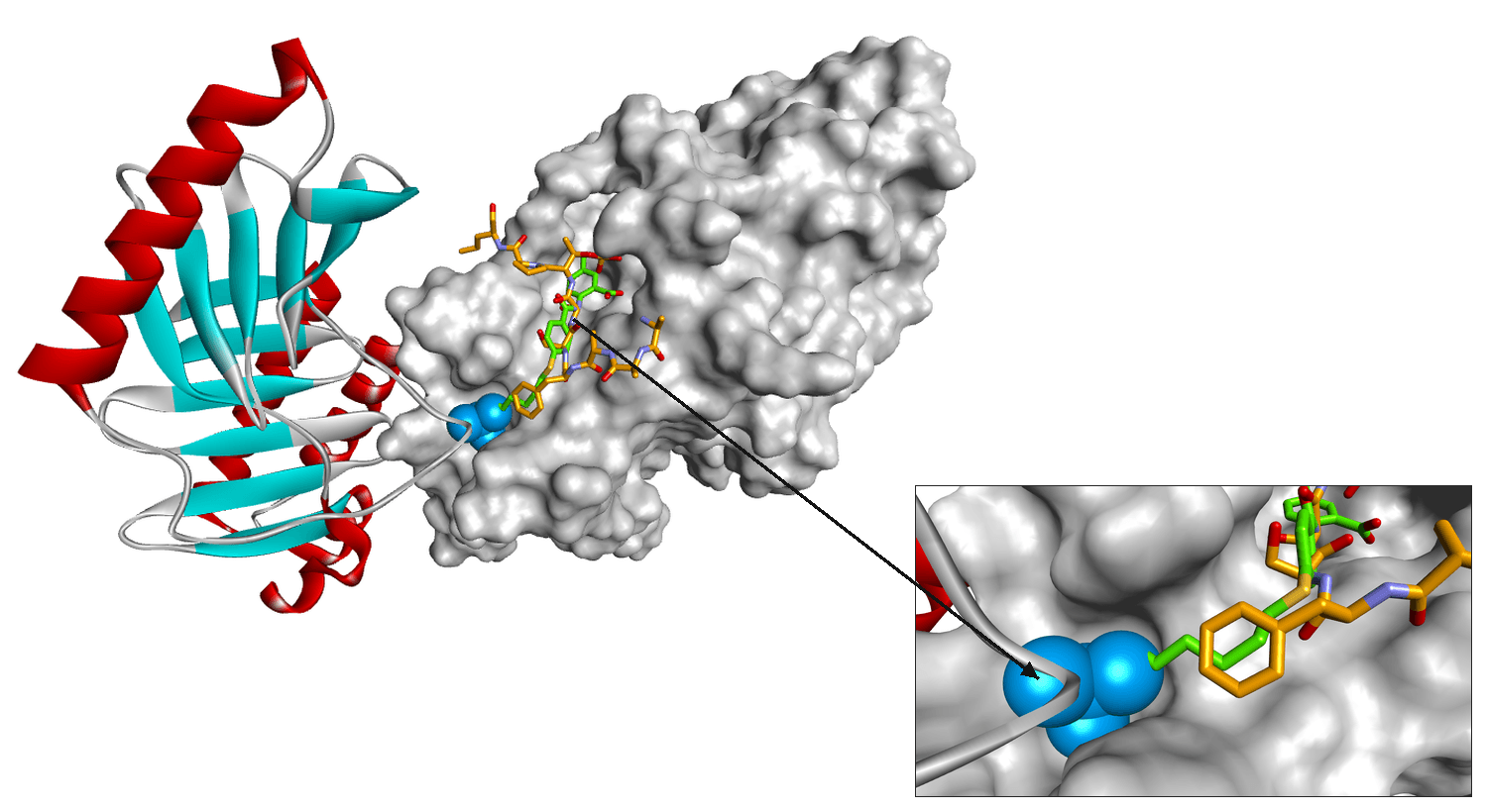 PLK1 polo-box inhibitor, with a callout from the binding site to a close-up of the same interaction