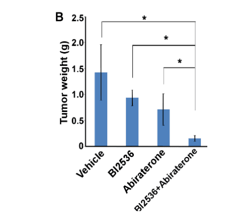 Tumor weight for vehicle, BI2536, abiraterone, and the combination.